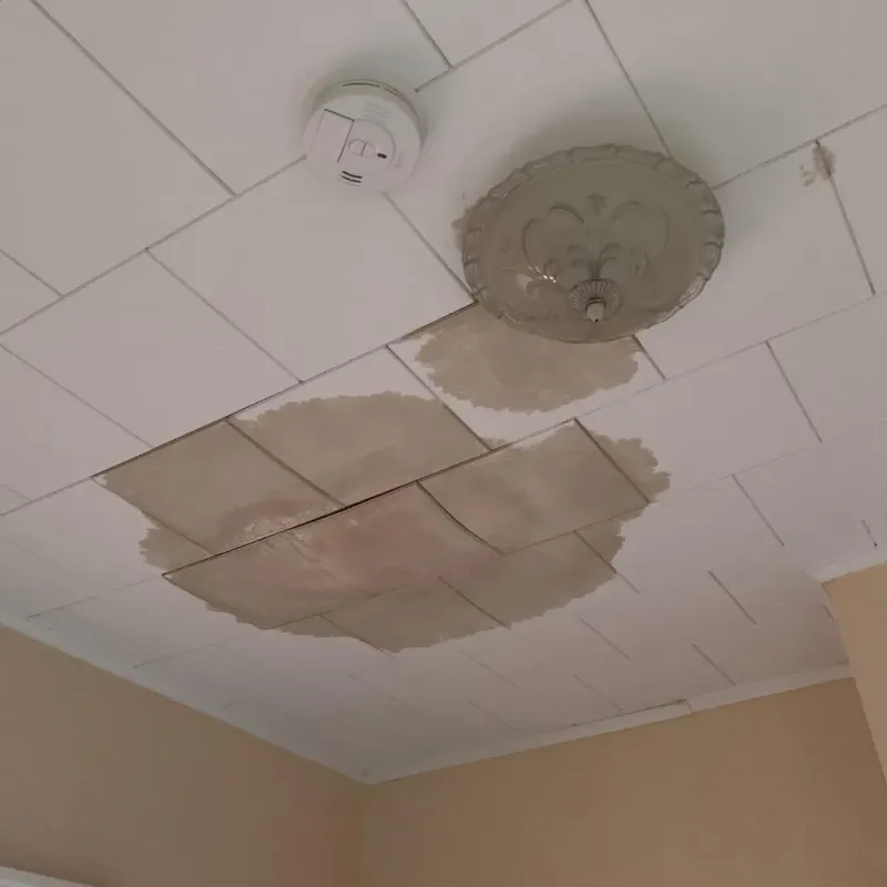 Ceiling Water Damage Repair in Barnesboro, PA