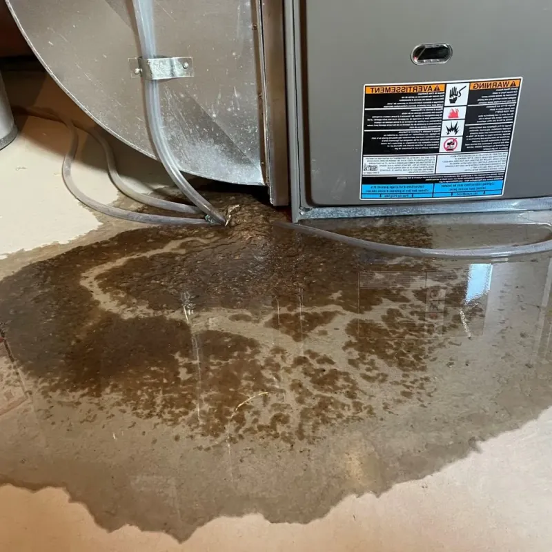 Pipe Burst and Leak Restoration in Barnesboro, PA