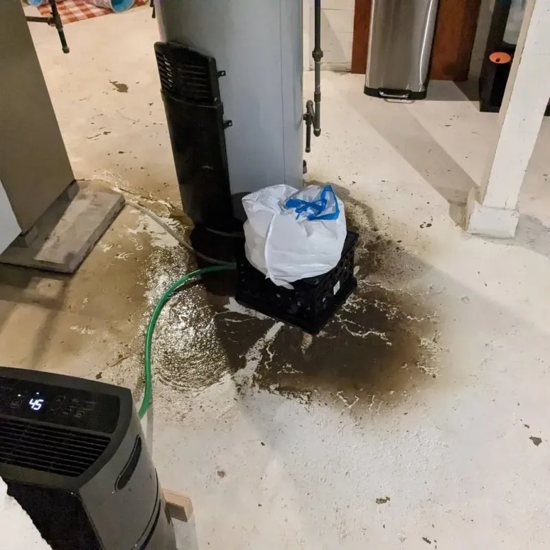 Sewage Backup Cleanup Service in Barnesboro, PA